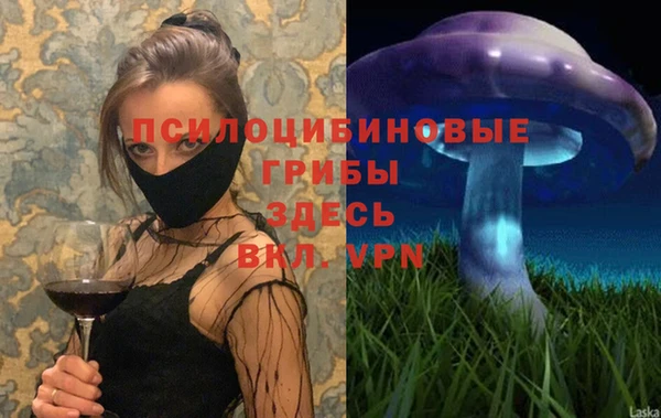 кристаллы Покачи